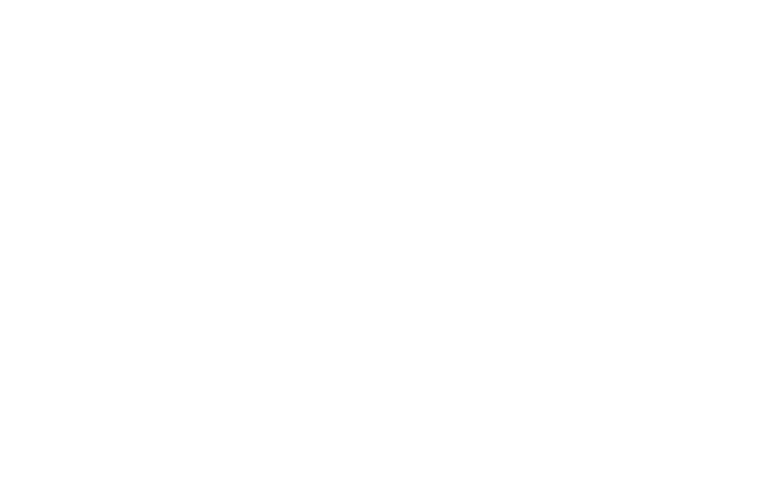 Route 66 Jiu Jitsu logo